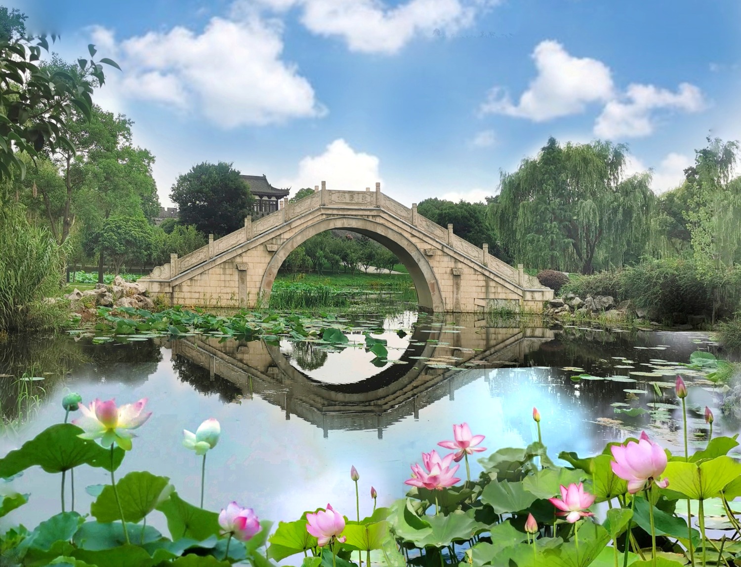 MEITU_20240714_134920492-01.jpeg