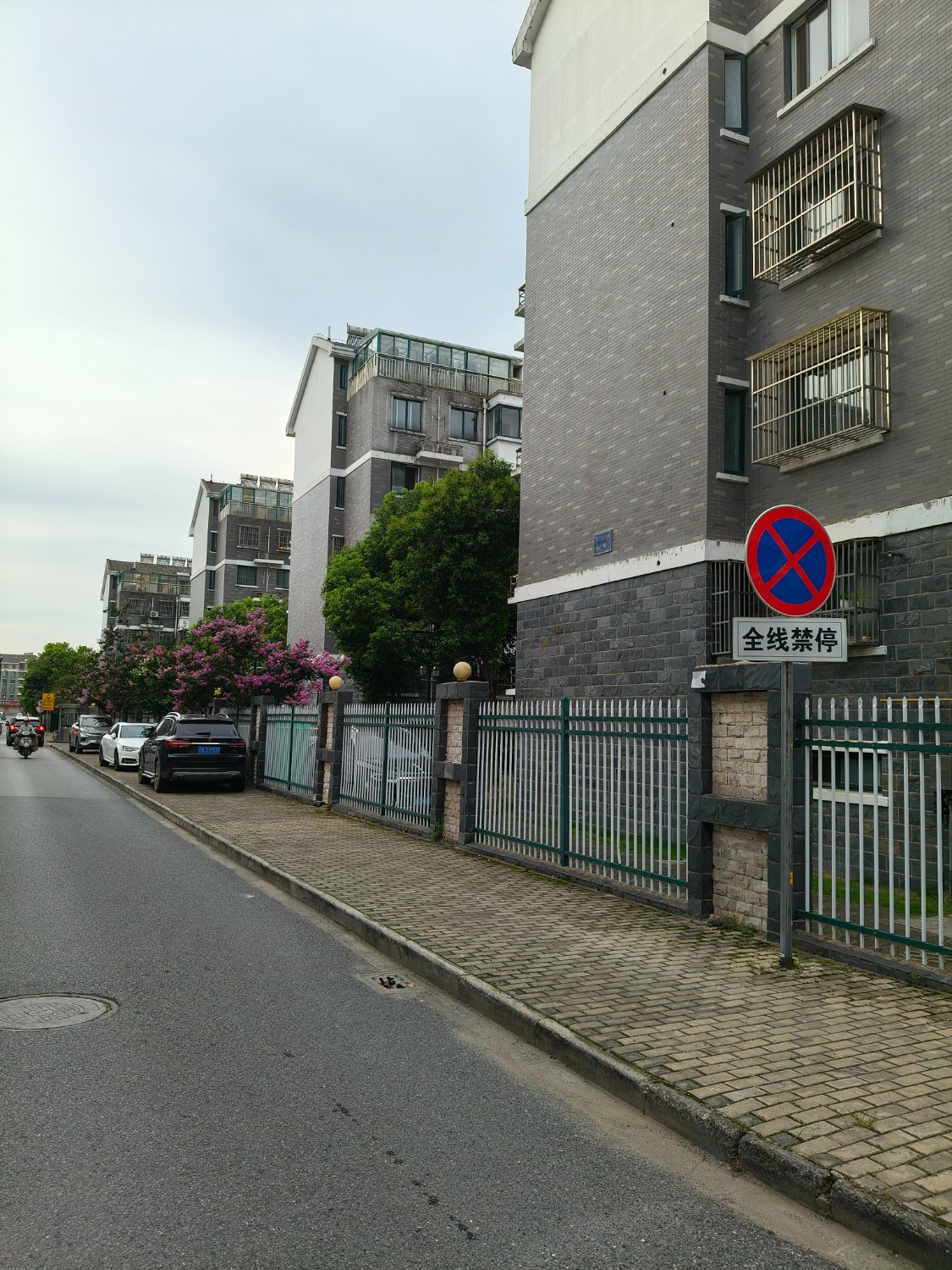 IMG20240718072052.jpg