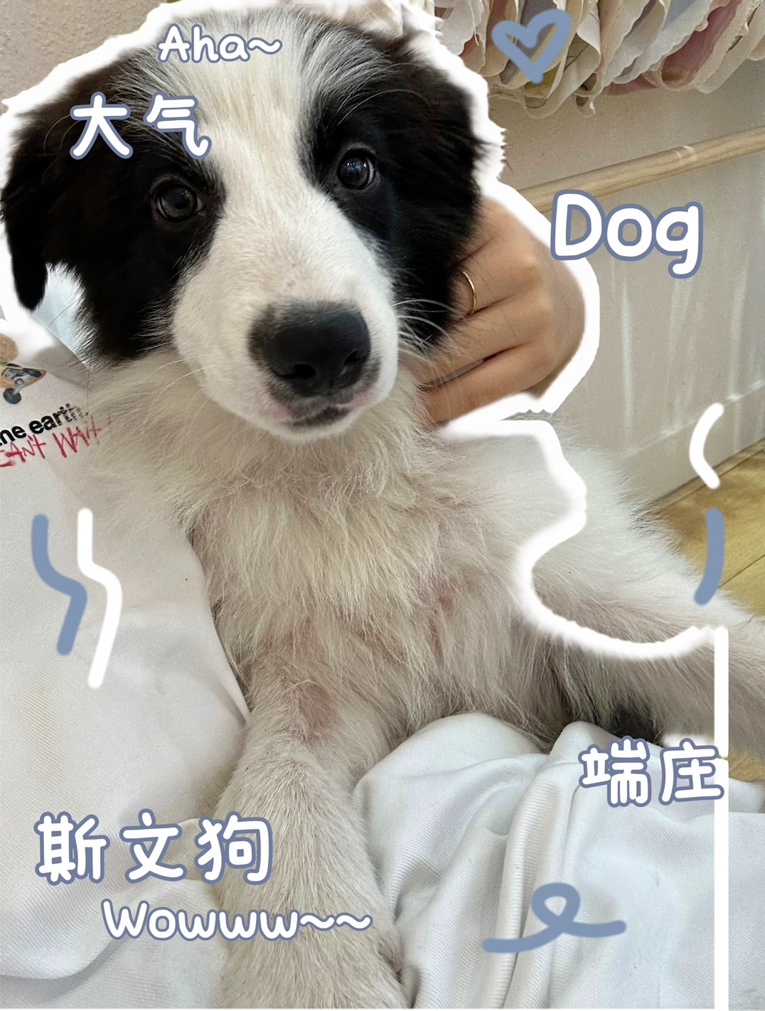 BBADD194-2C63-49BC-B0B9-6DF43EFAD99E.jpeg
