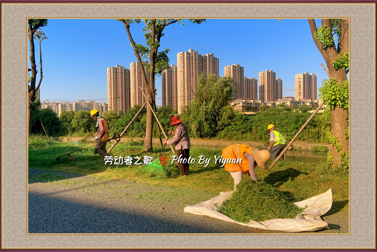 A9A84507-1252-4286-9924-7E96A102ED04.jpeg