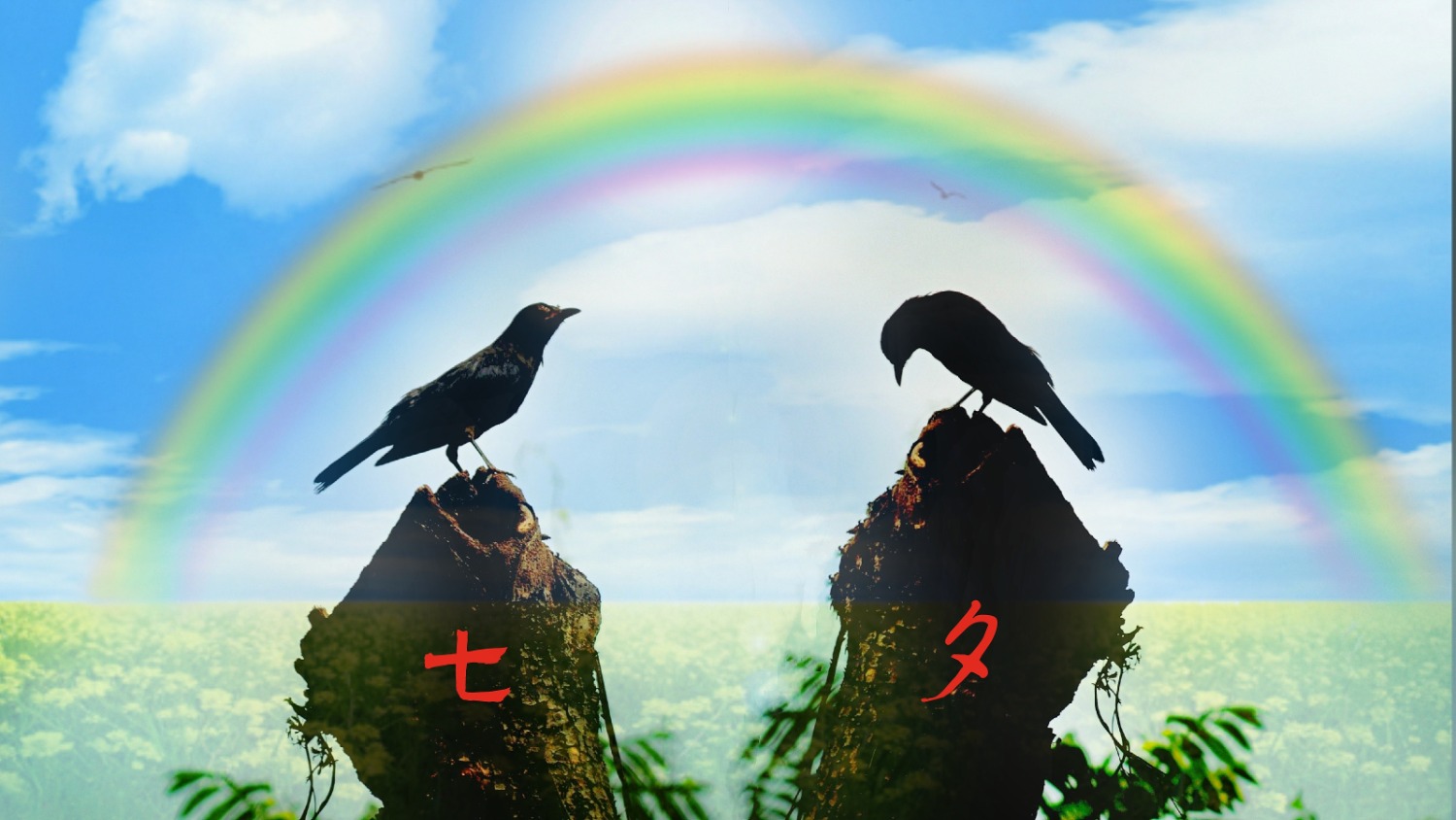 MEITU_20240809_085243110.jpg