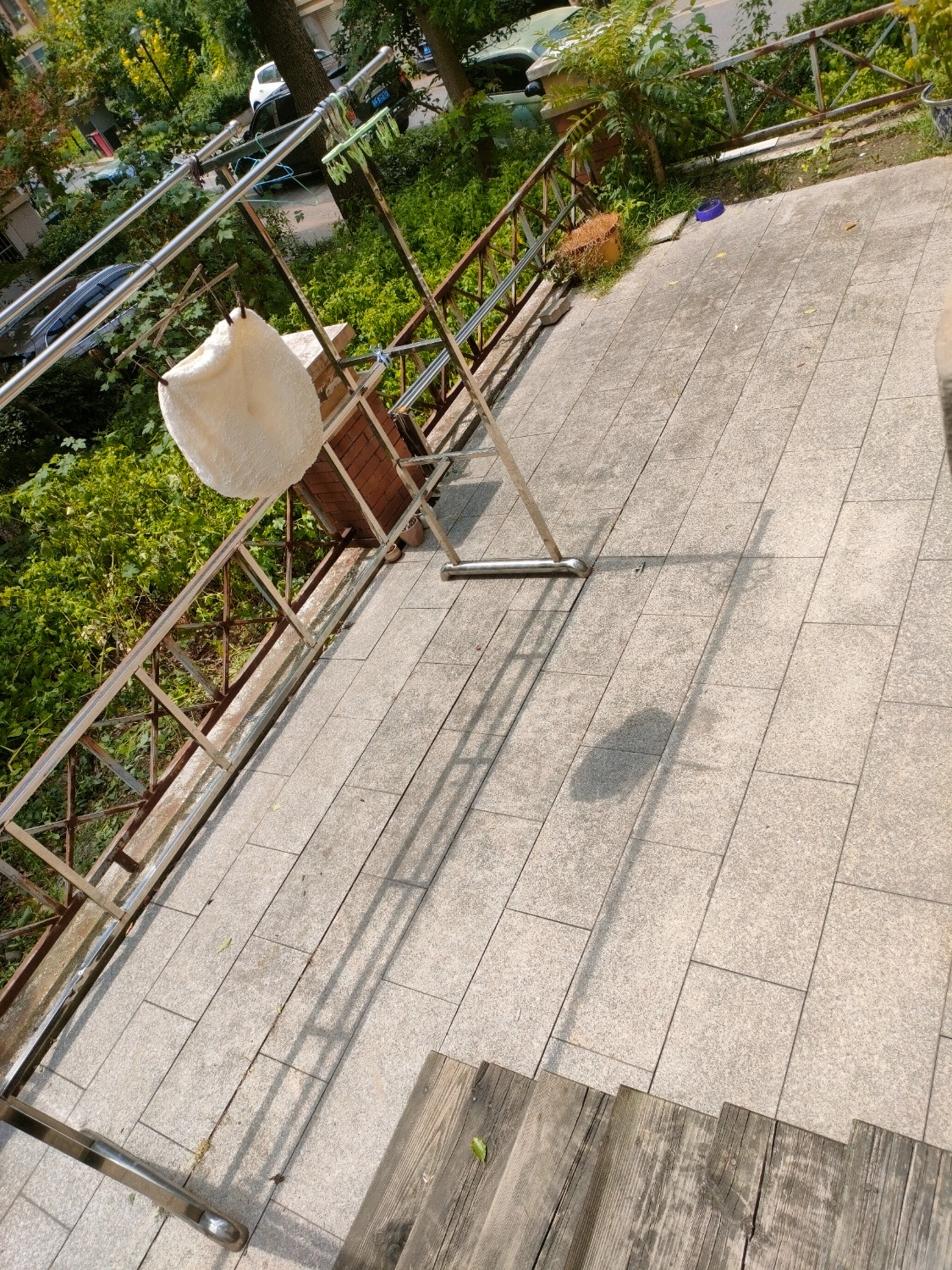 IMG20240814112154.jpg