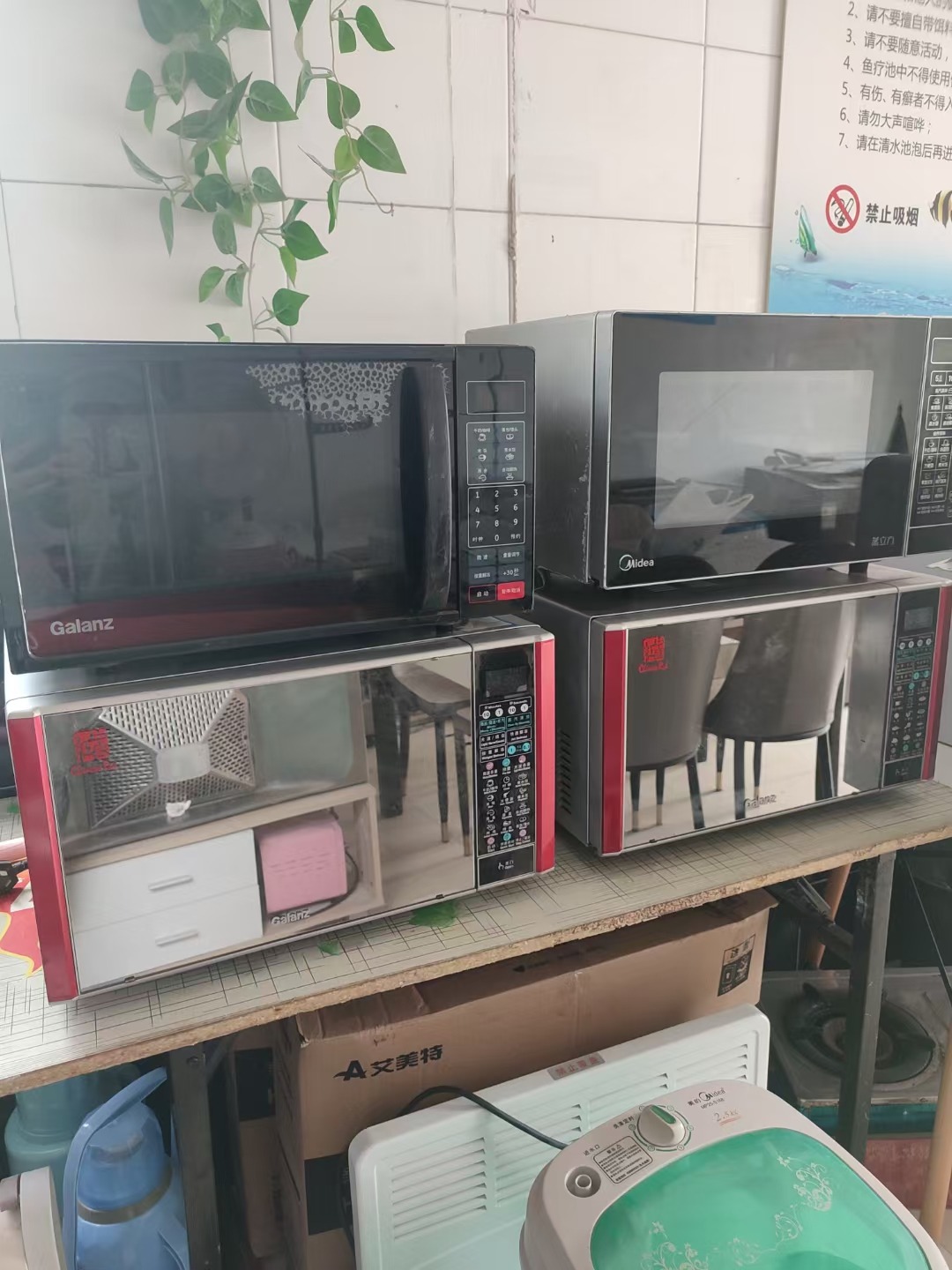 mmexport1723612335876.jpg