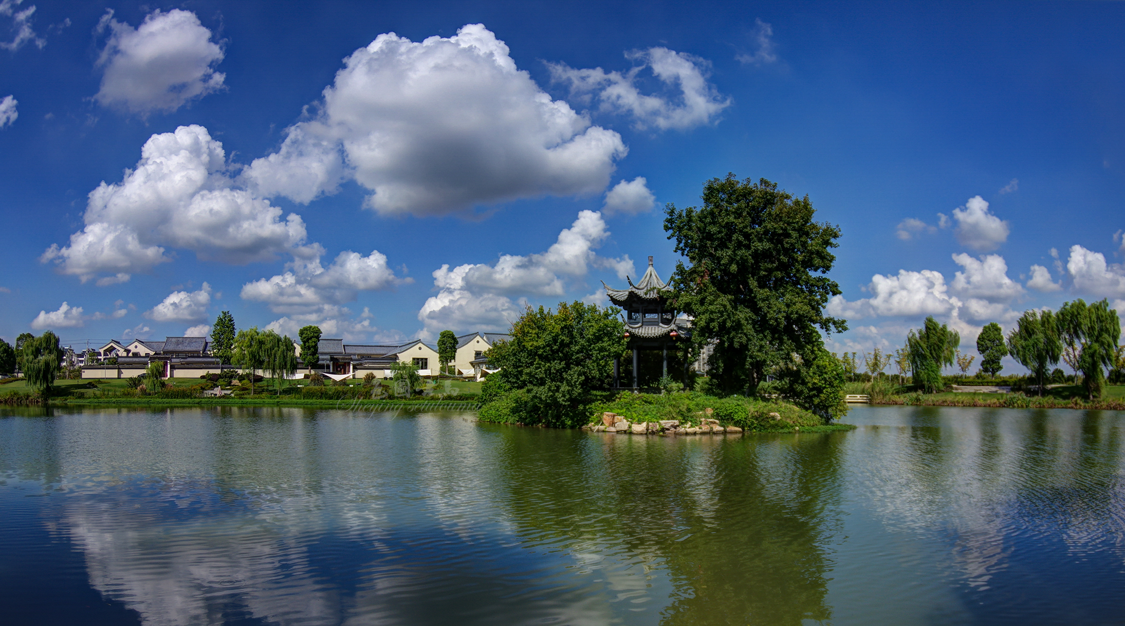 IMGP0625ccv1.jpg