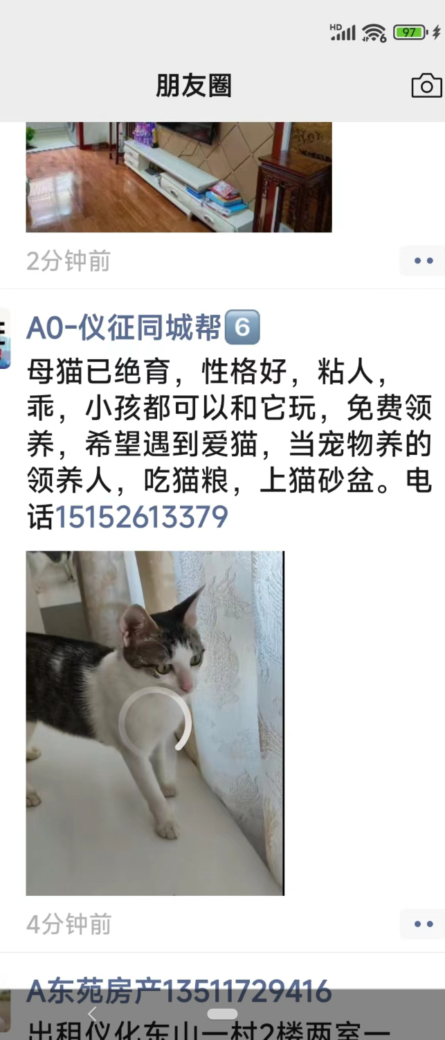 Screenshot_20240802-085425.png