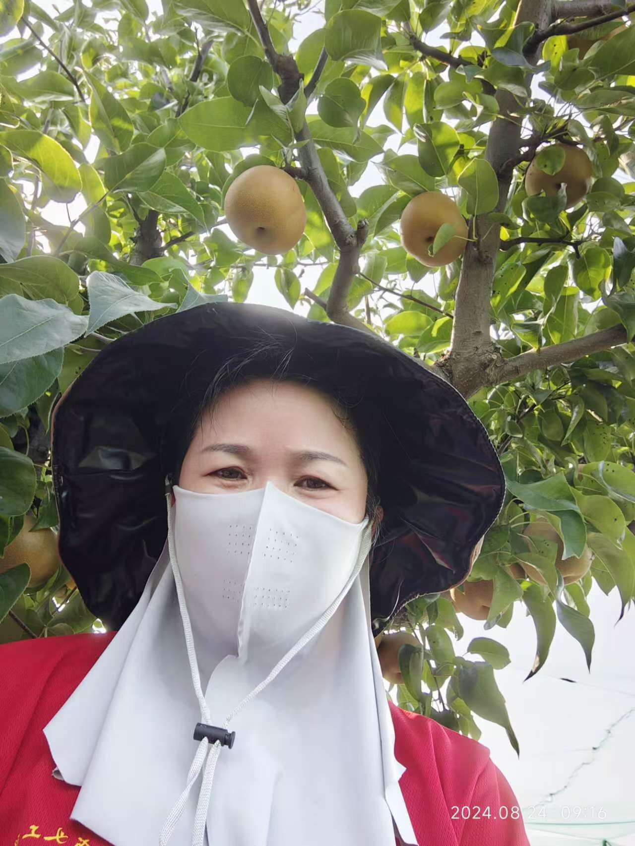 微信图片_20240824163106.jpg