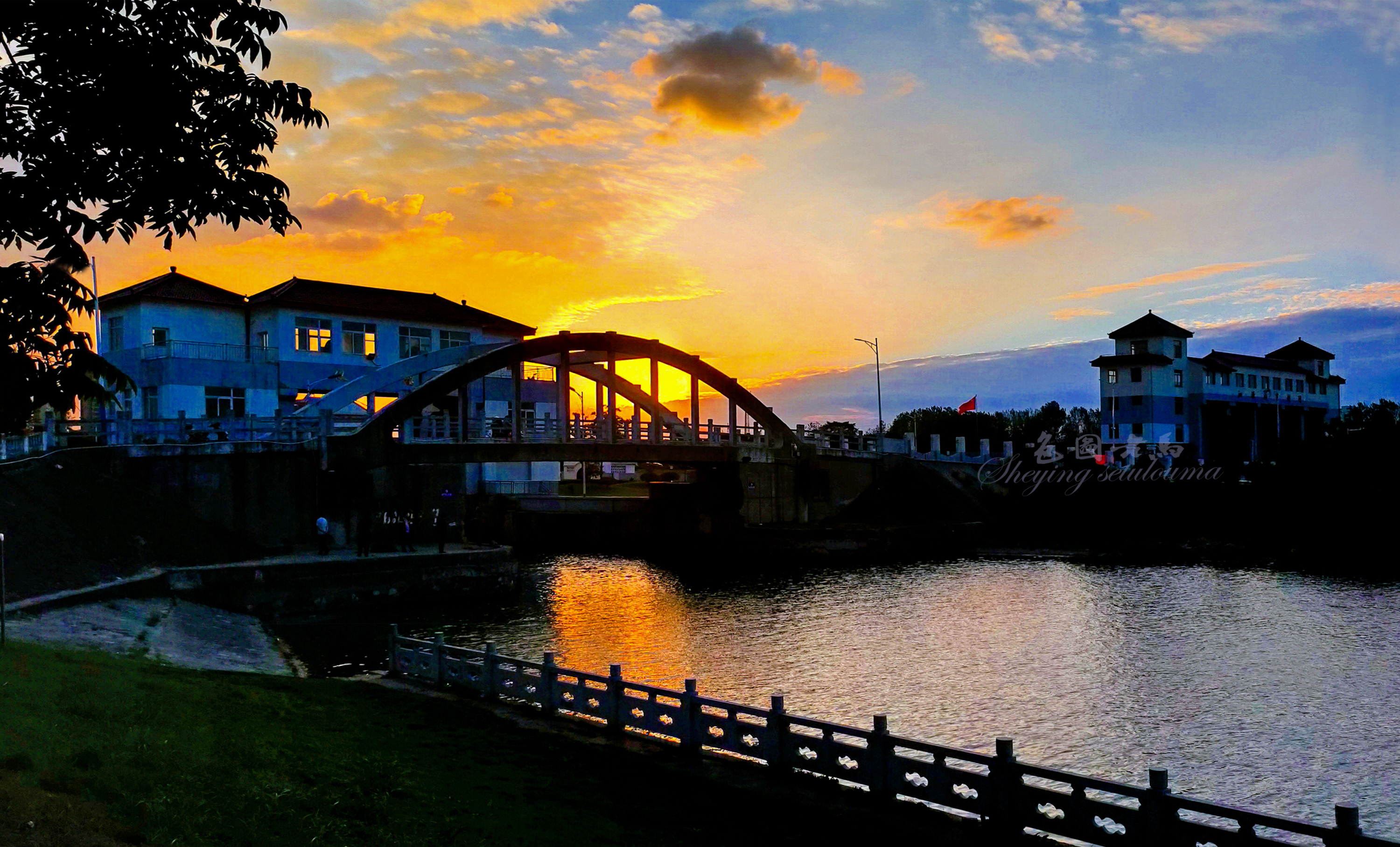 IMG2021ccv.jpg