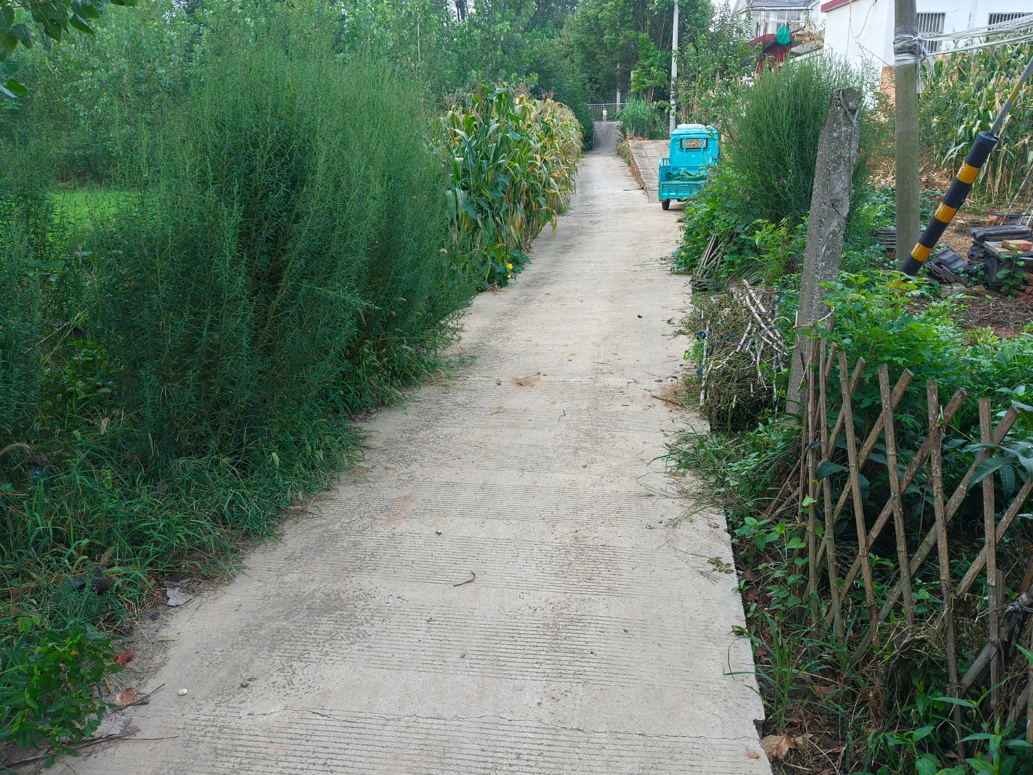 IMG20240828070354.jpg
