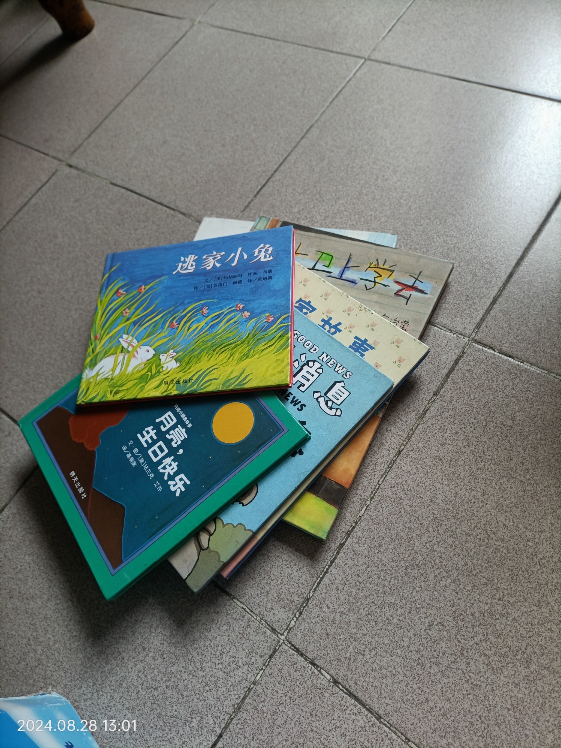 IMG20240828130105.jpg