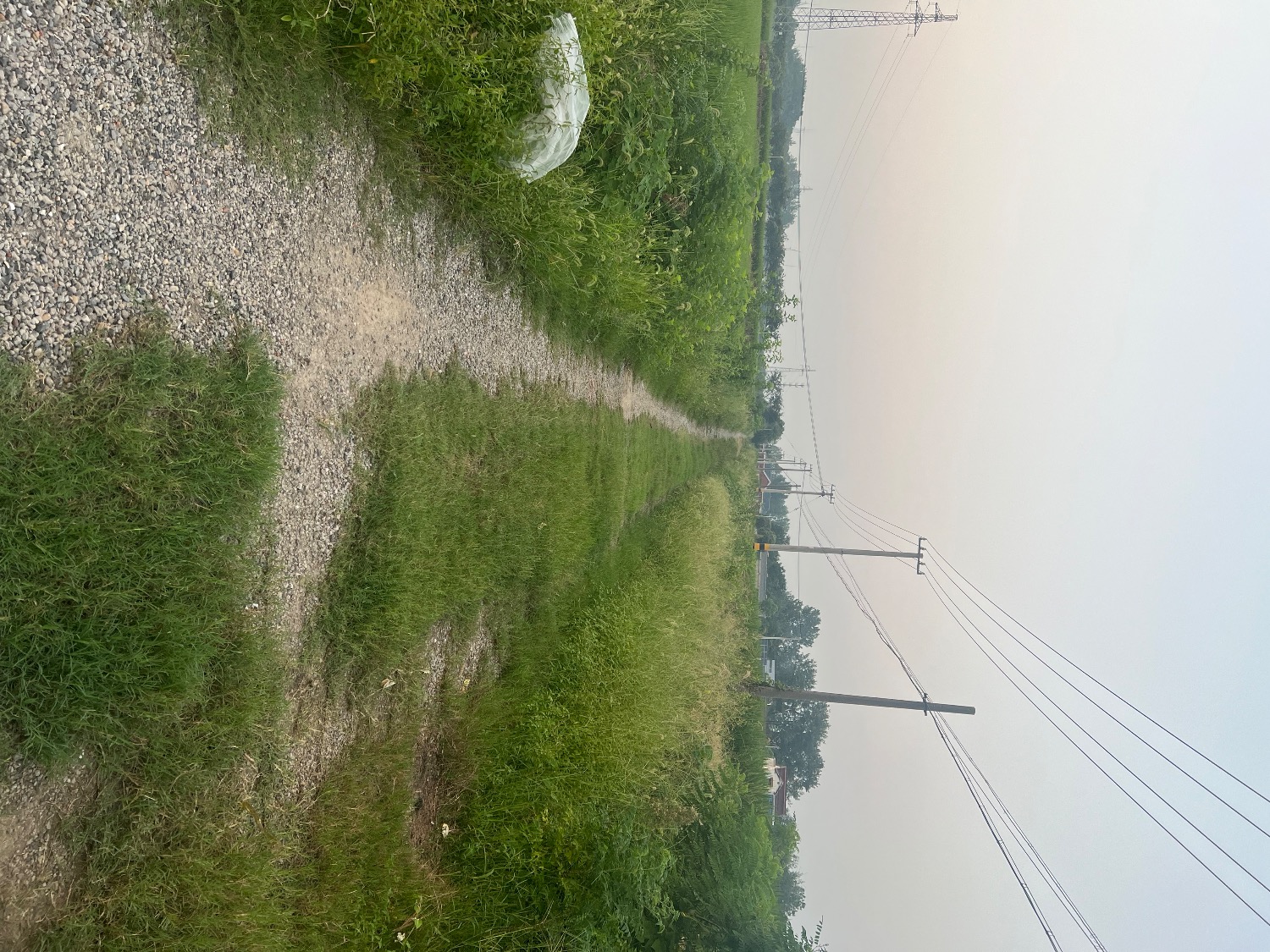IMG_4827.jpeg