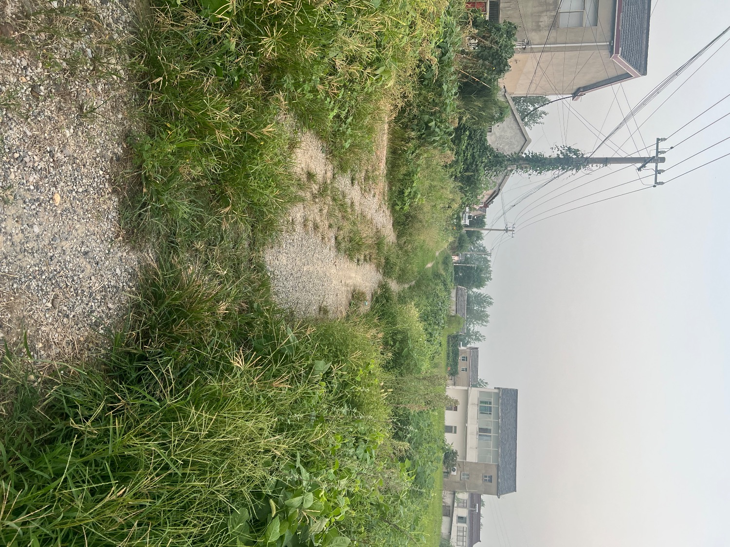 IMG_4826.jpeg