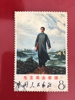 IMG_6653.jpeg