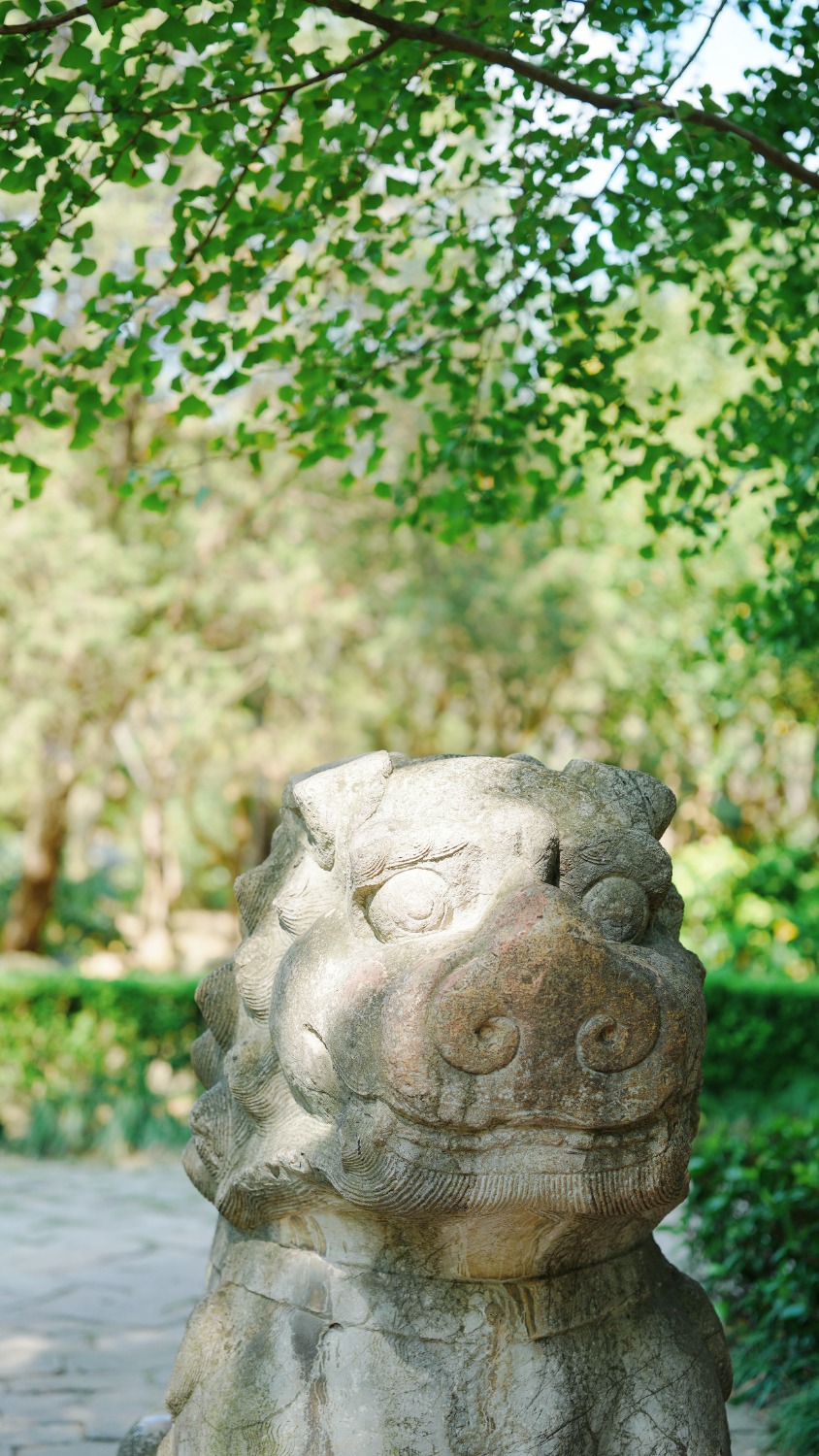 MEITU_20240908_153007493.jpg