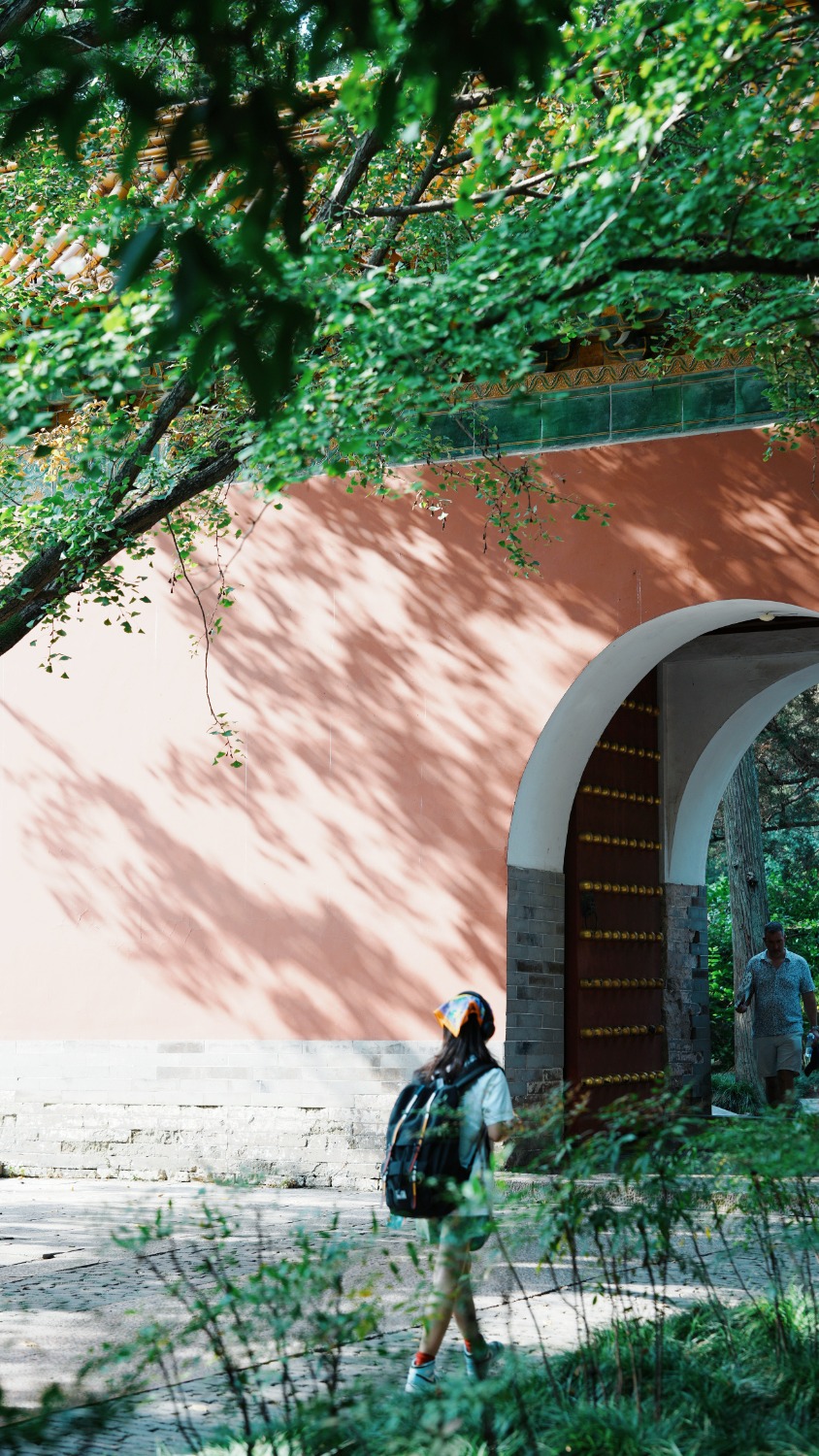 MEITU_20240908_152832167.jpg