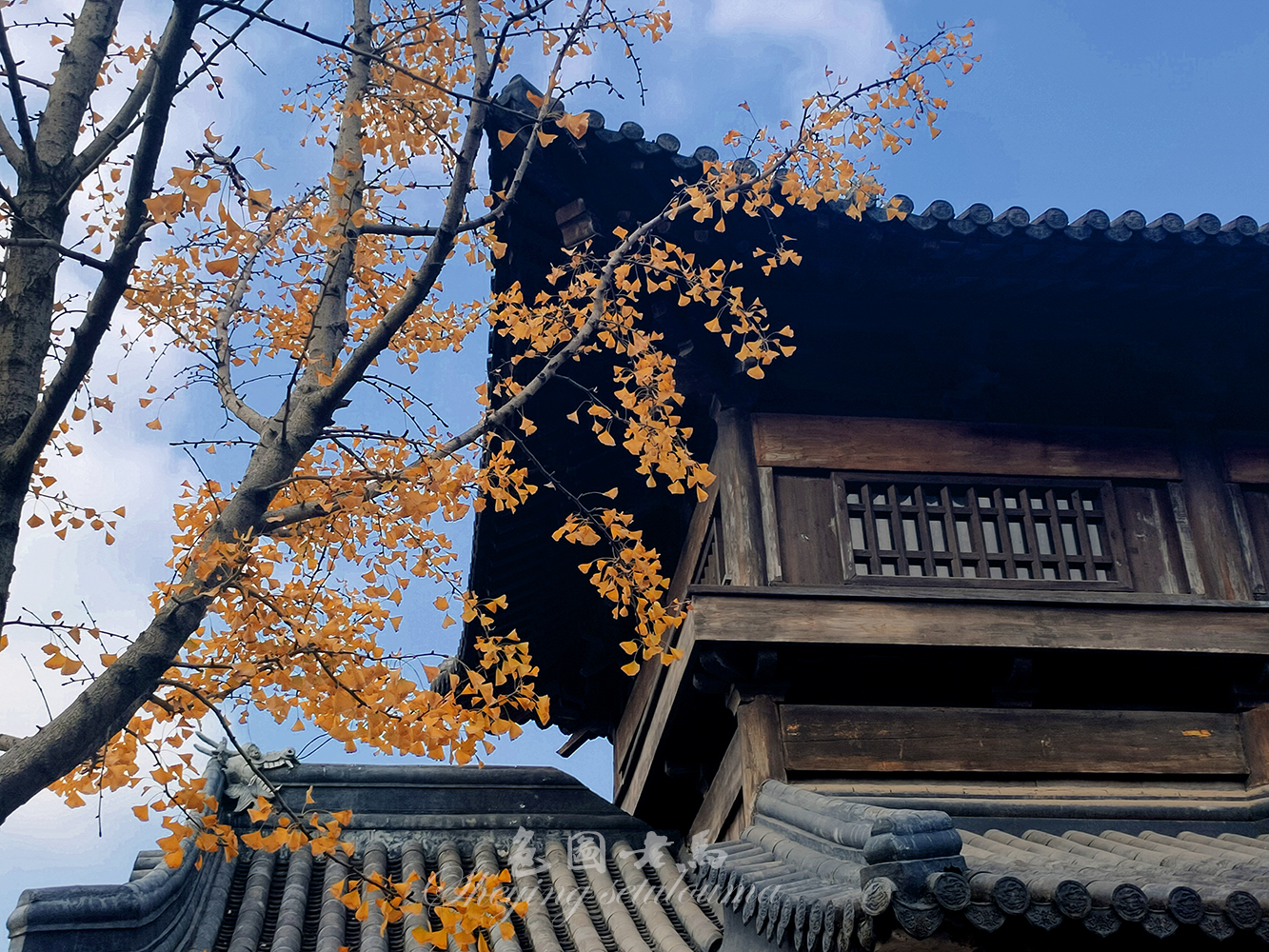 IMG20201115140446_mccv1.jpg