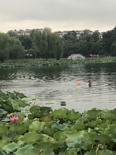 IMG_8239.jpeg