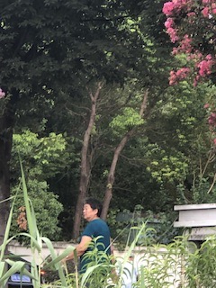 IMG_8251.jpeg
