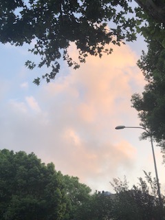 IMG_8254.jpeg