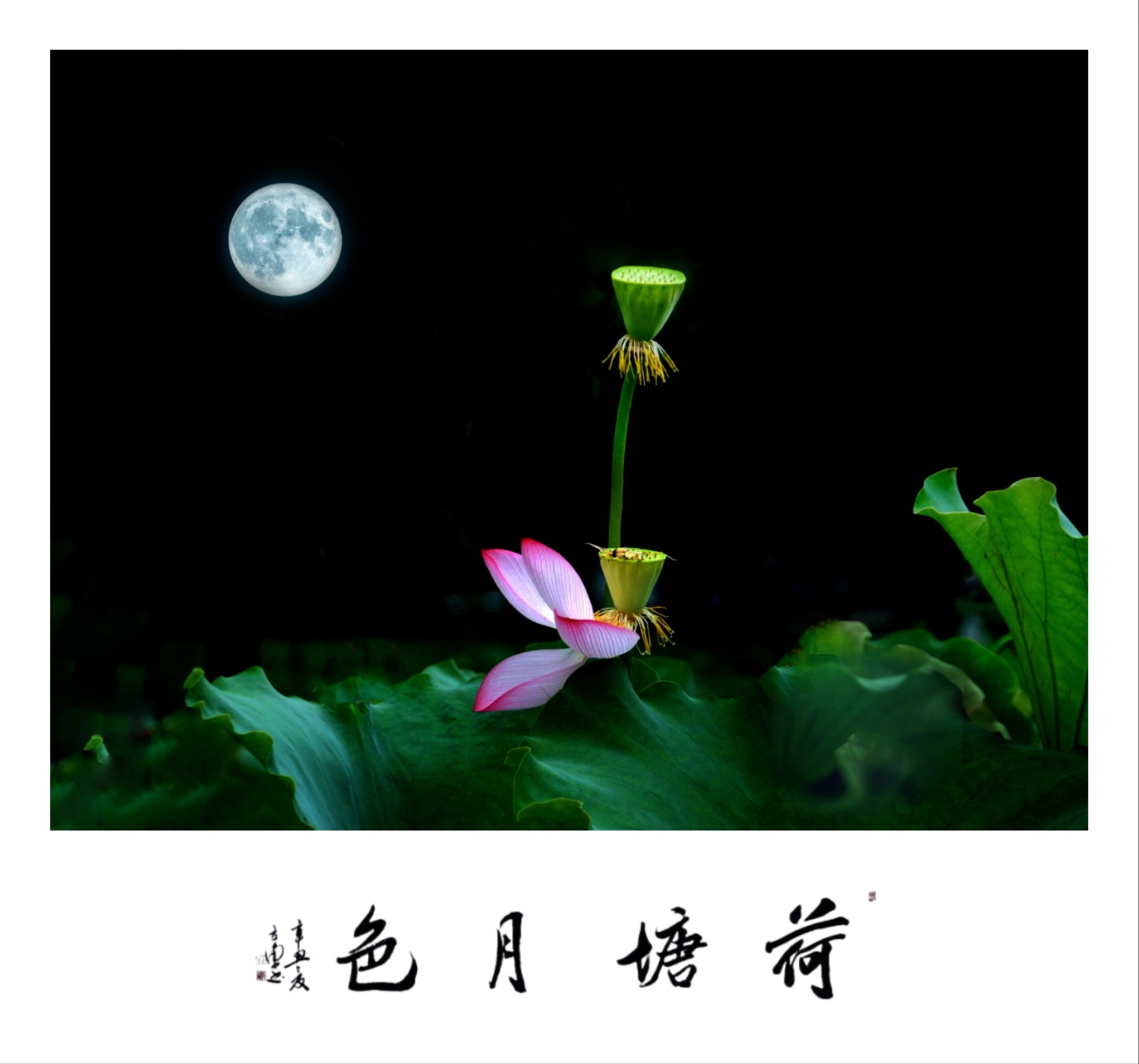 MEITU_20240731_142859283-01-01_edit_173014441567349-01.jpeg