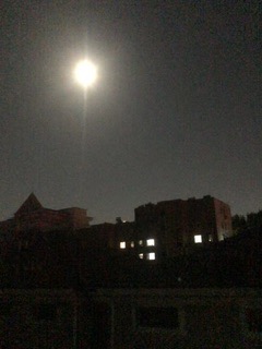 IMG_8266.jpeg