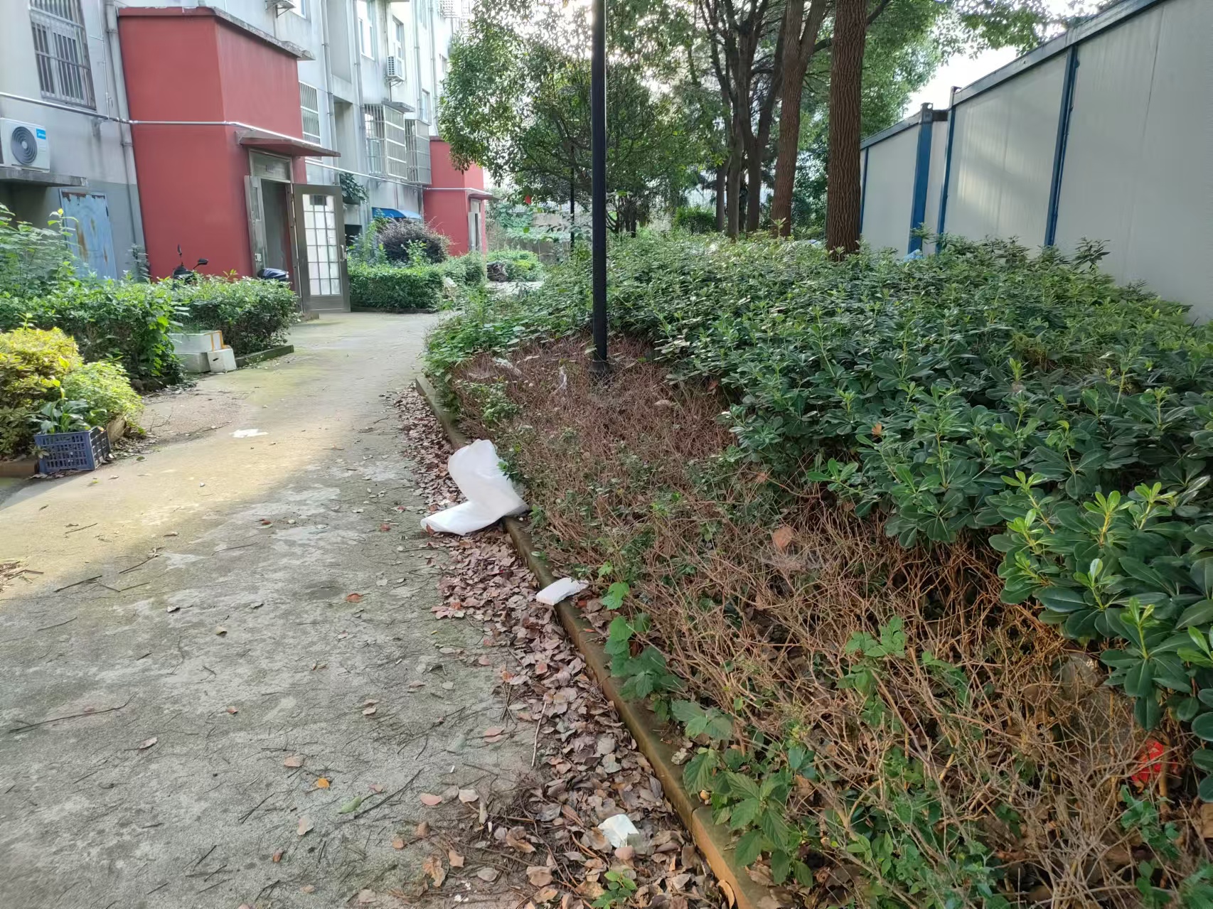 楼下垃圾