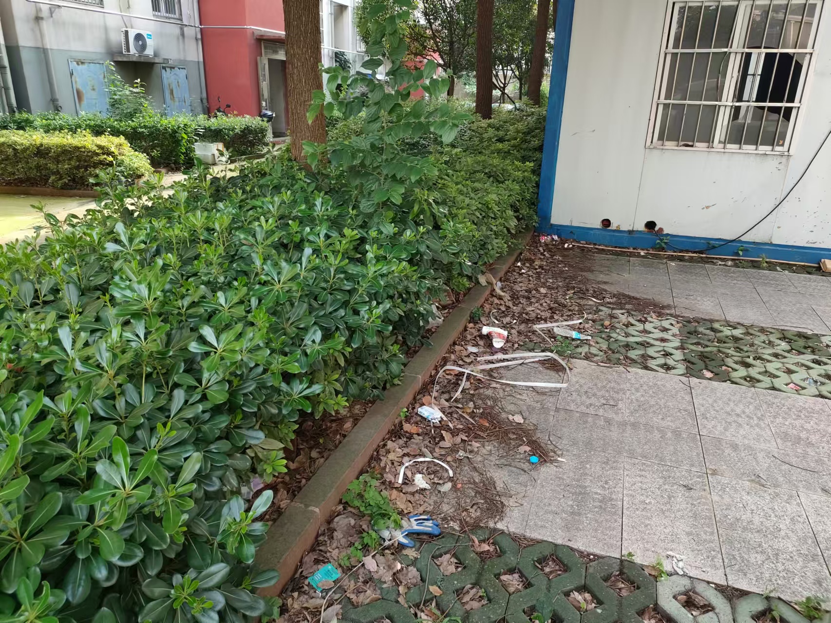 停车位垃圾