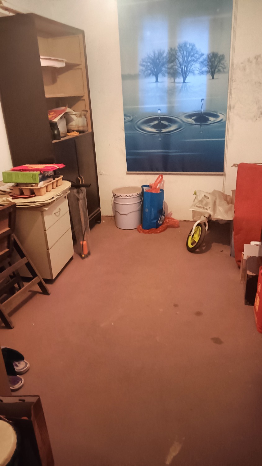 IMG20241005173112.jpg