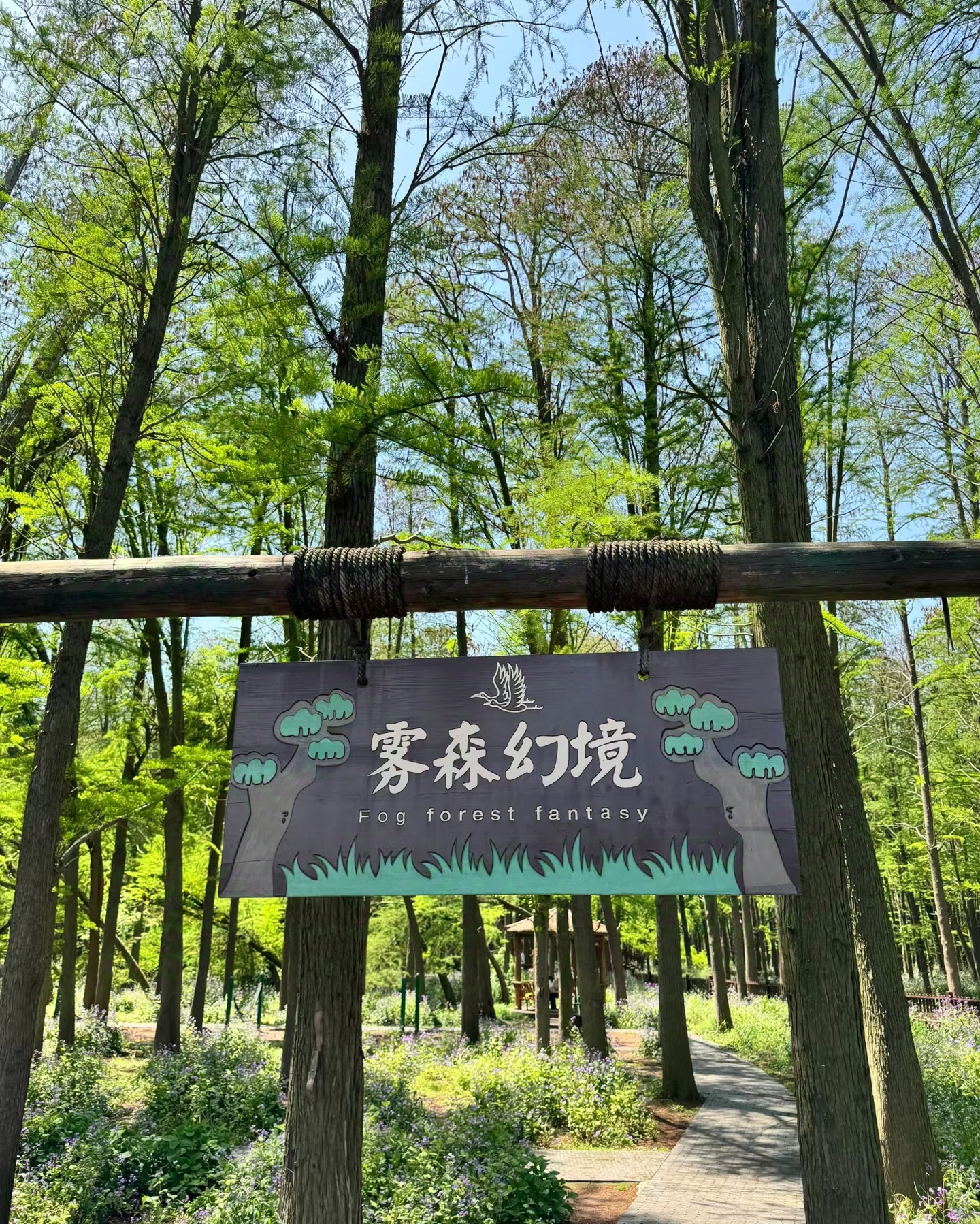 微信图片_20241007130917.jpg