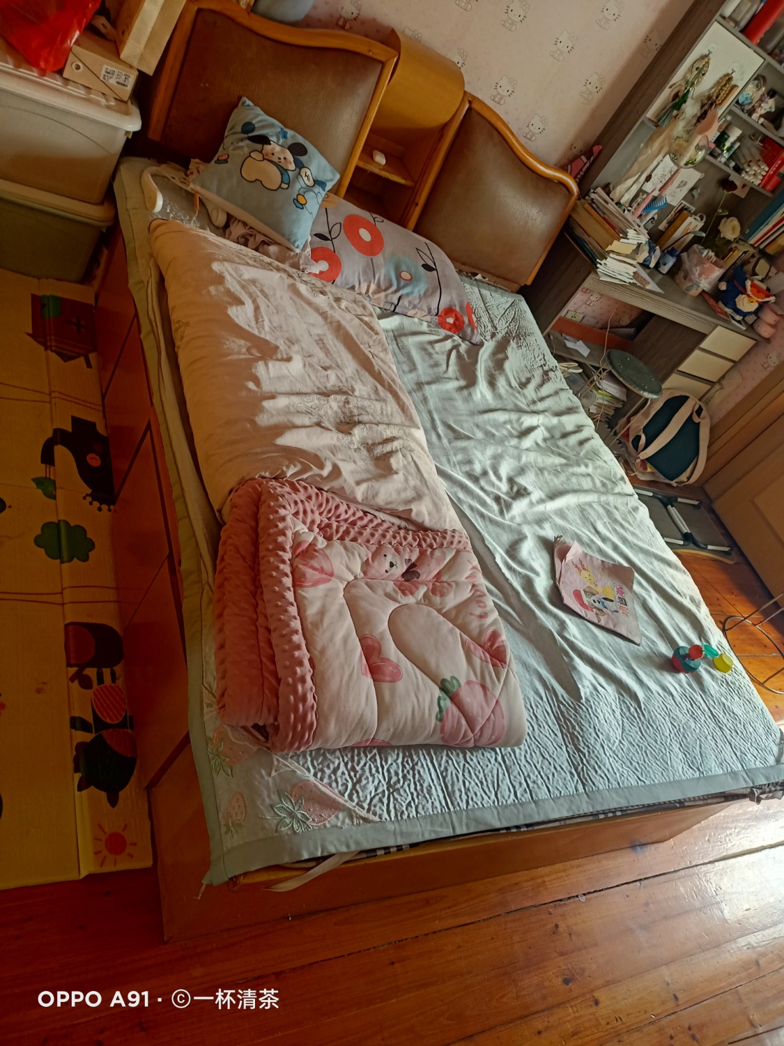 IMG20240920141313.jpg