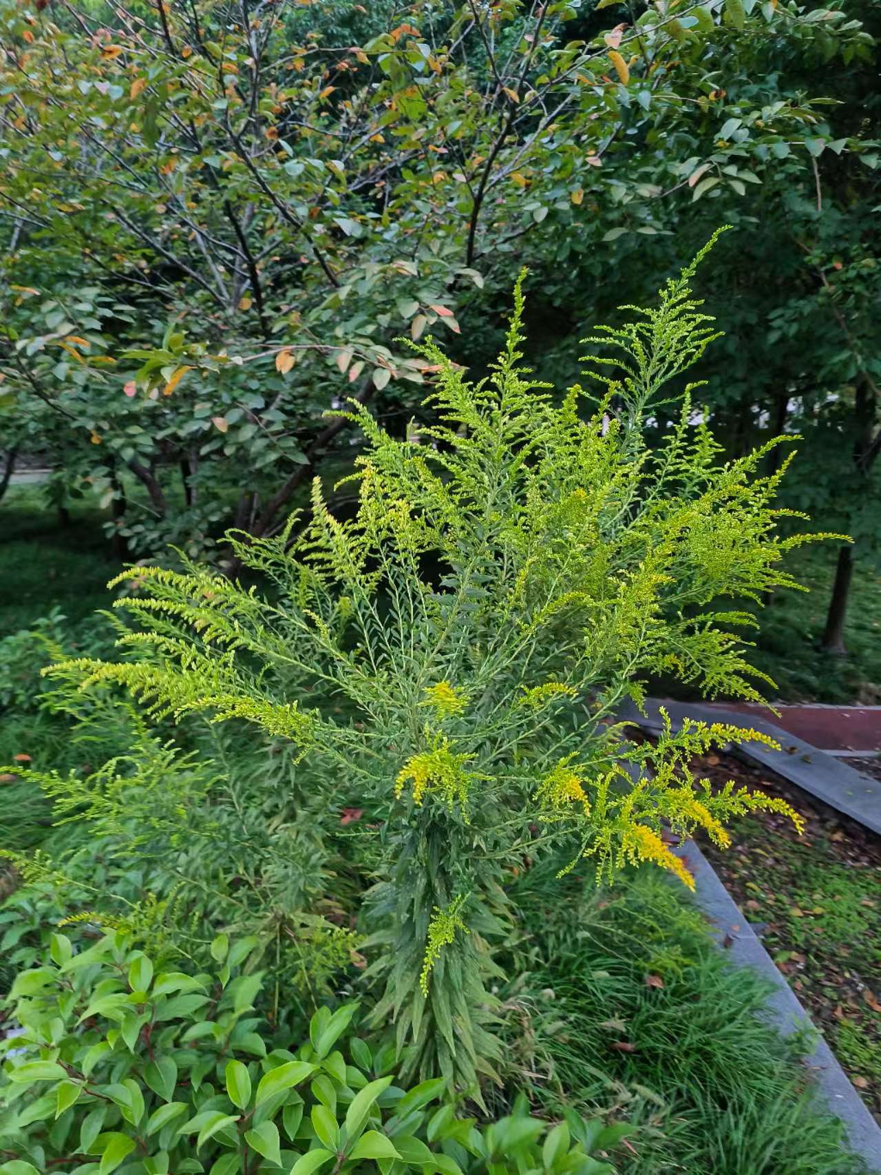 拍摄红旗桥东侧