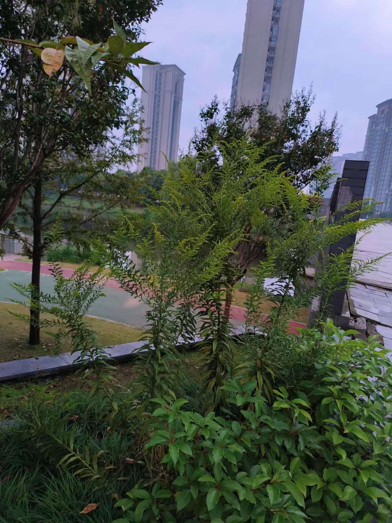 微信图片_20241015104352.jpg
