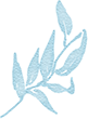 640?wx_fmt=png.jpg