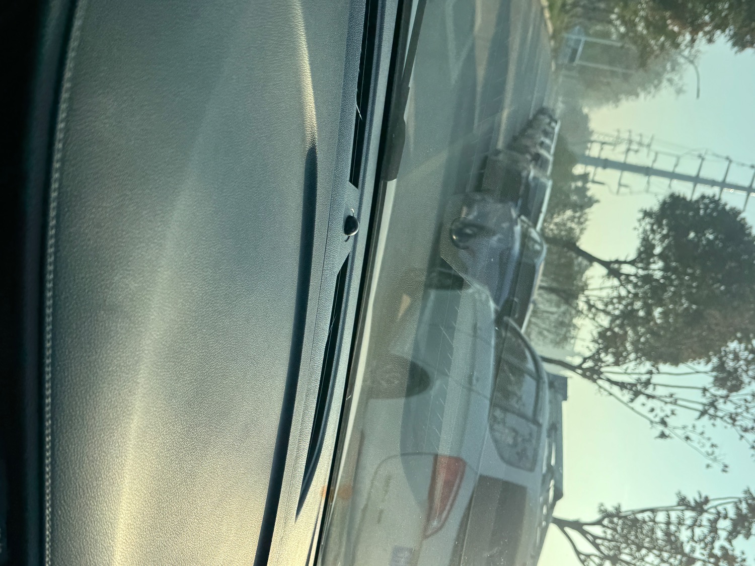 IMG_6677.jpeg
