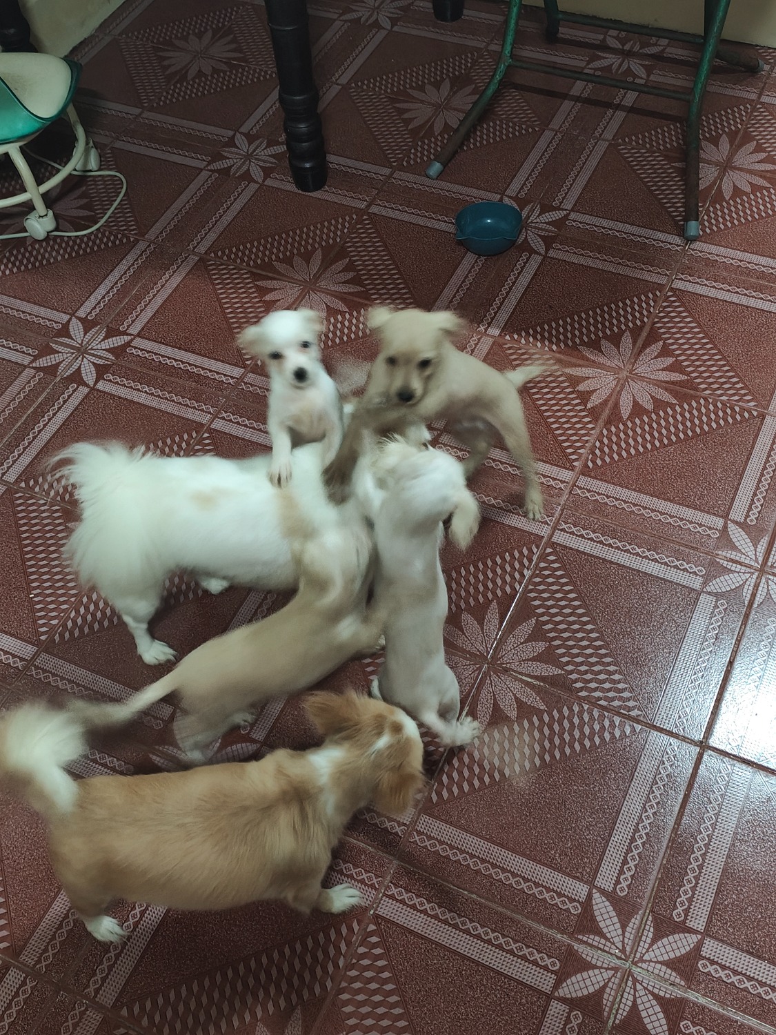 1000000583.jpg