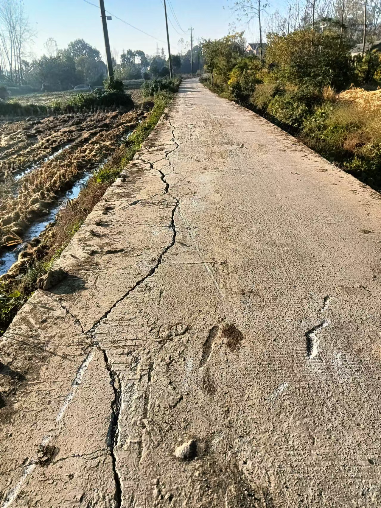 路面破坏图1
