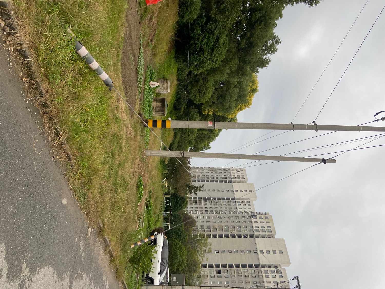 IMG_4158.jpeg
