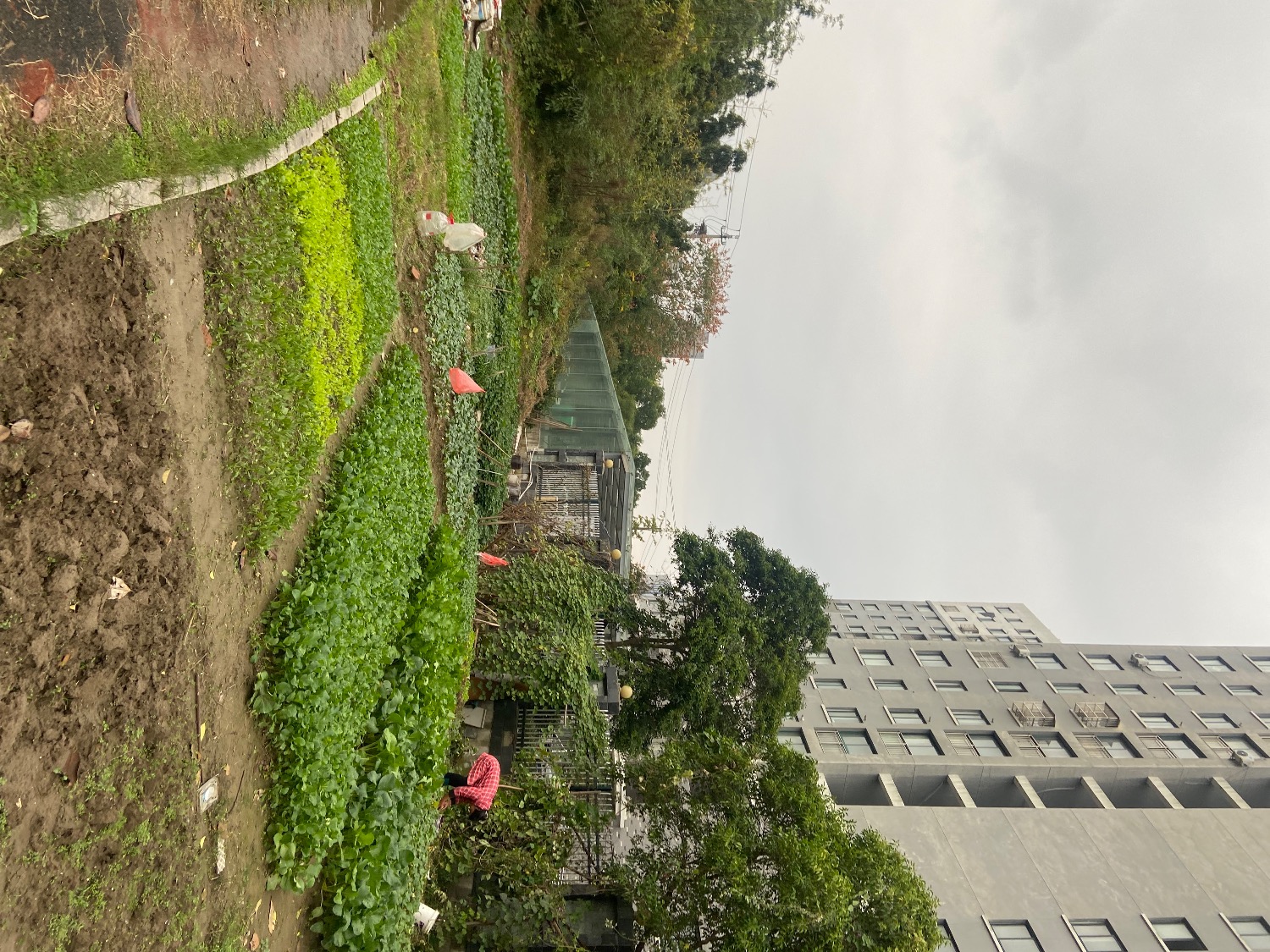 IMG_4150.jpeg