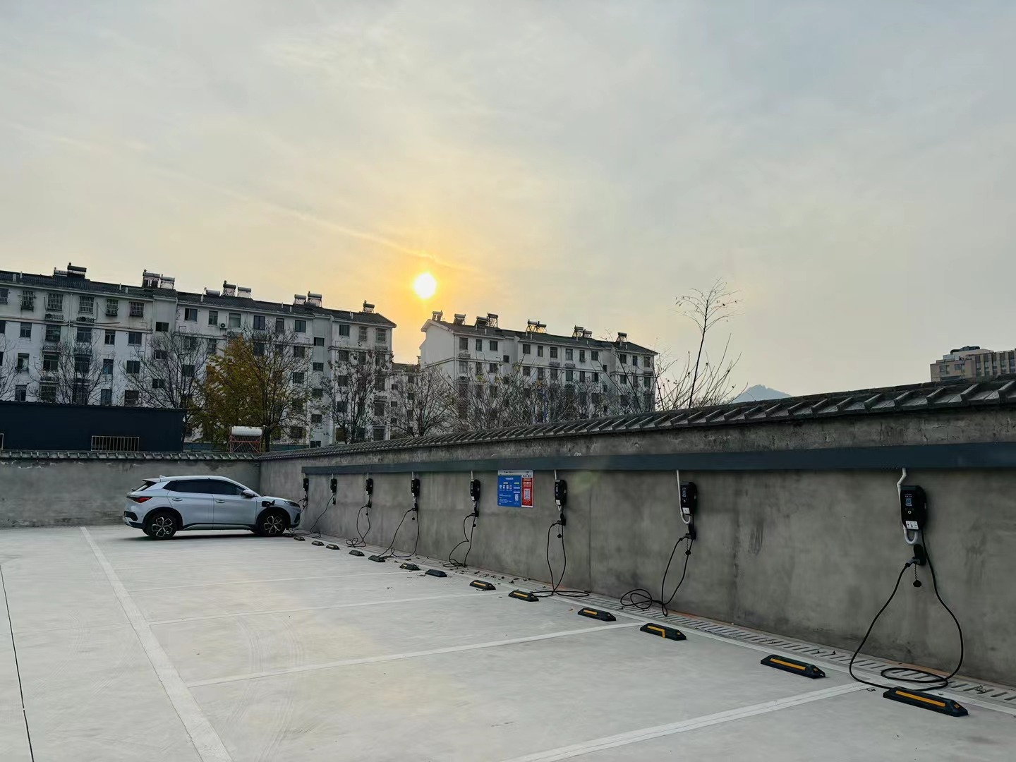 mmexport1701781951946.jpg