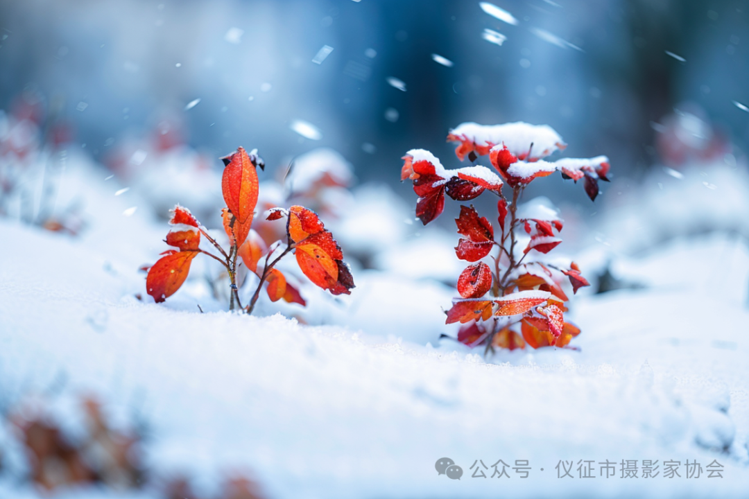 640?wx_fmt=png&from=appmsg.jpg