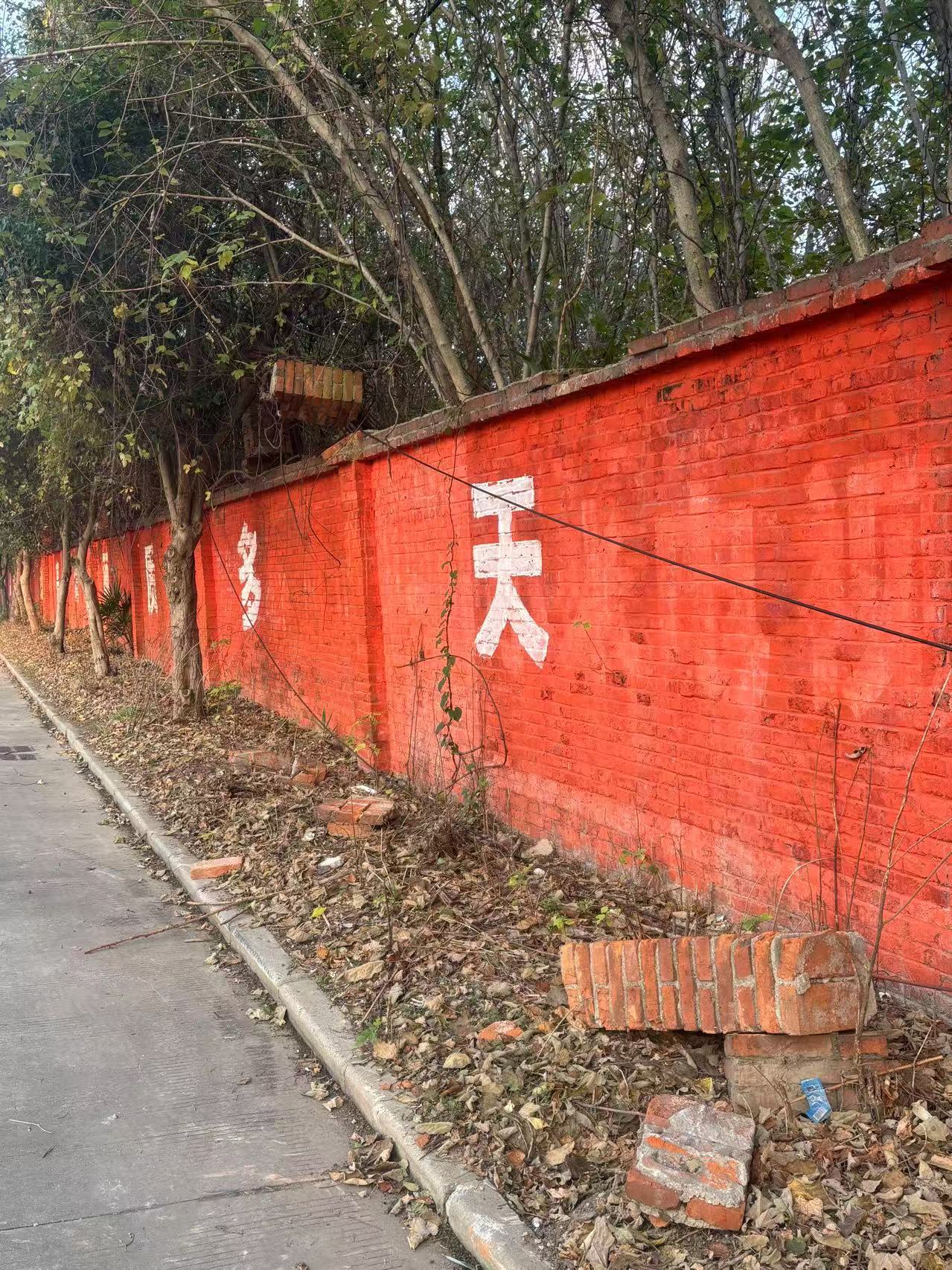 微信图片_20241126142007.jpg