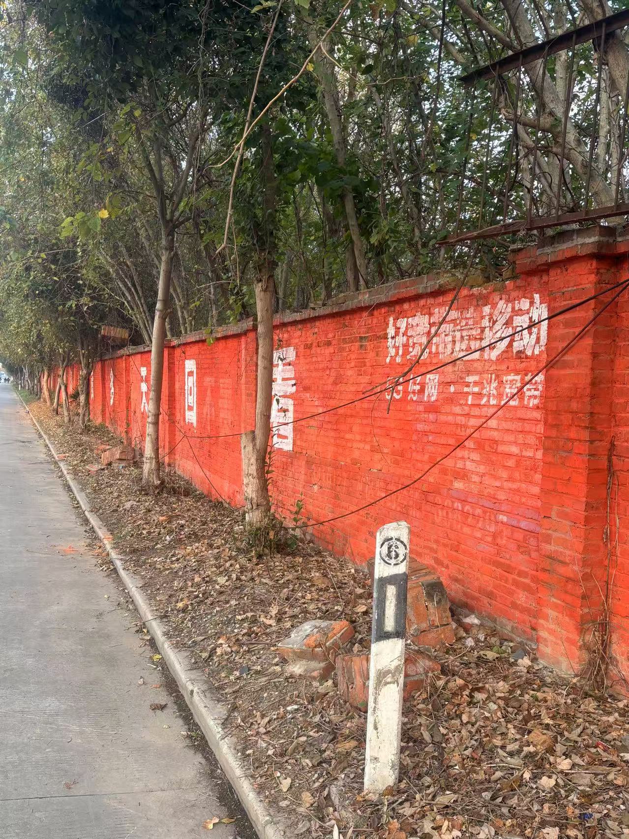微信图片_20241126142008.jpg