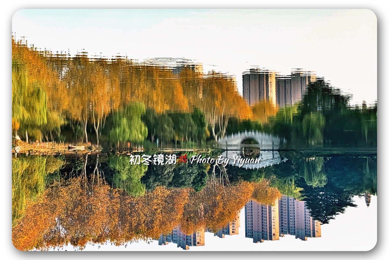 EE3DAAD2-1376-4759-BD88-BC3CD3093FE1.jpeg