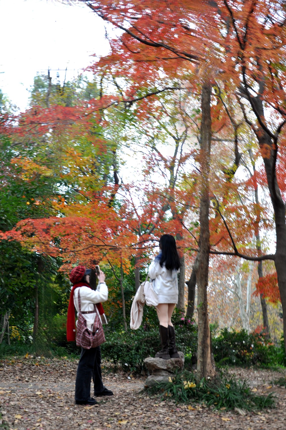 DSC_7895_edit_407901386817965-01.jpeg