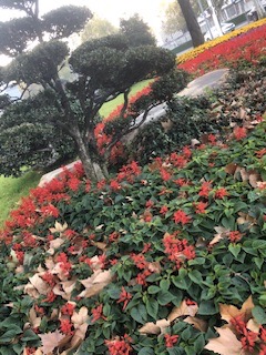IMG_8405.jpeg