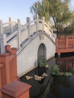 IMG_8402.jpeg