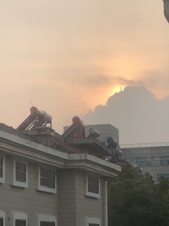 IMG_8410.jpeg