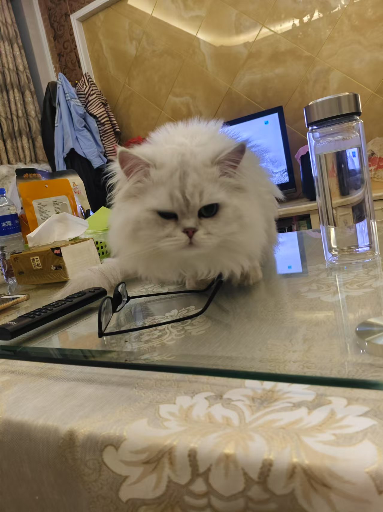 微信图片_20241217000314.jpg