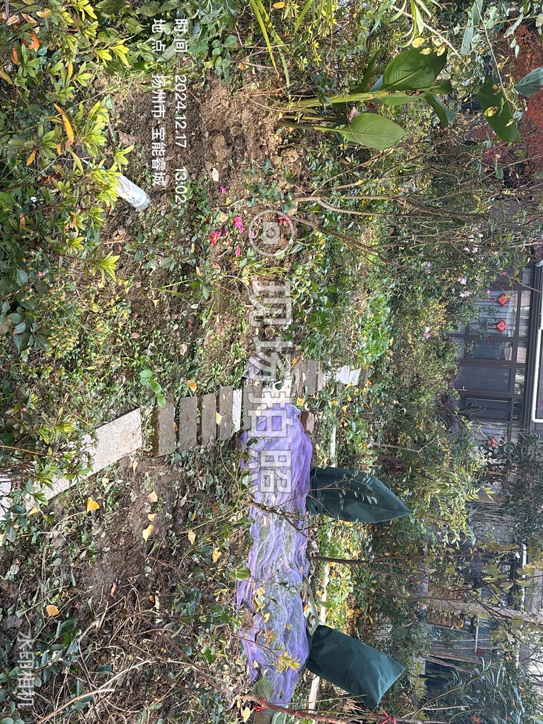 IMG_1632.jpeg
