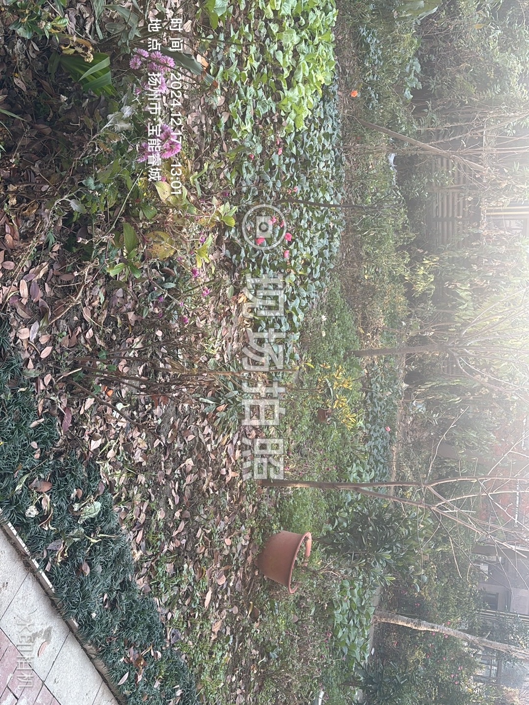 IMG_1618.jpeg