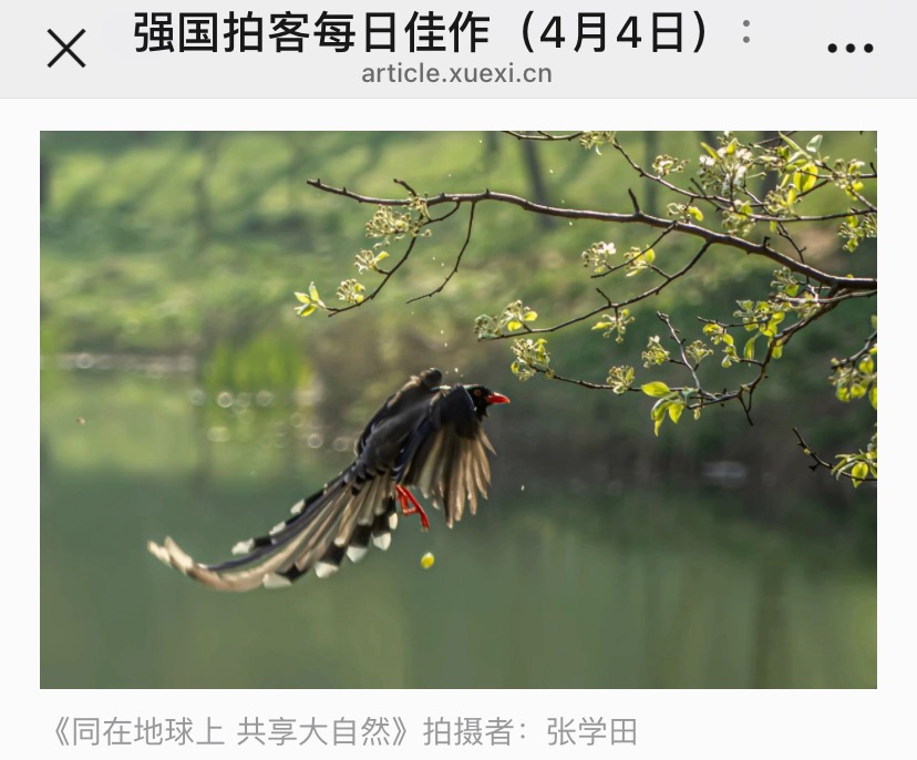 CA484749-3F9D-4A5A-9A04-CF34DF6D4440.jpeg